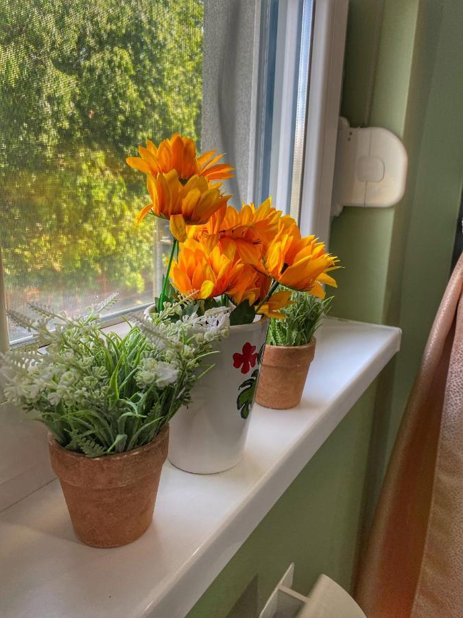 Apartman Diana Sremska Mitrovica Extérieur photo